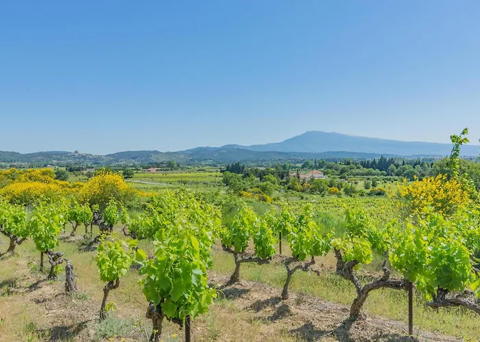 Domaine Purviti