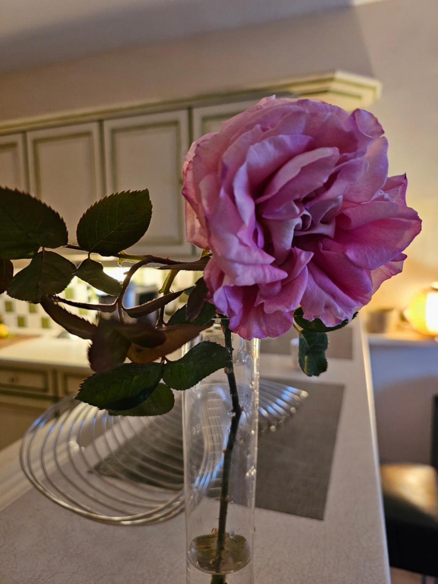 Holiday home Domaine Purviti